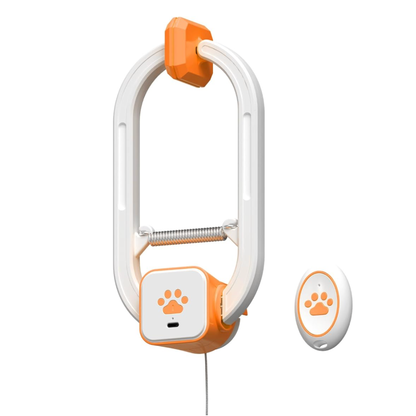 KatzenJoy | Interaktives Spielzeug