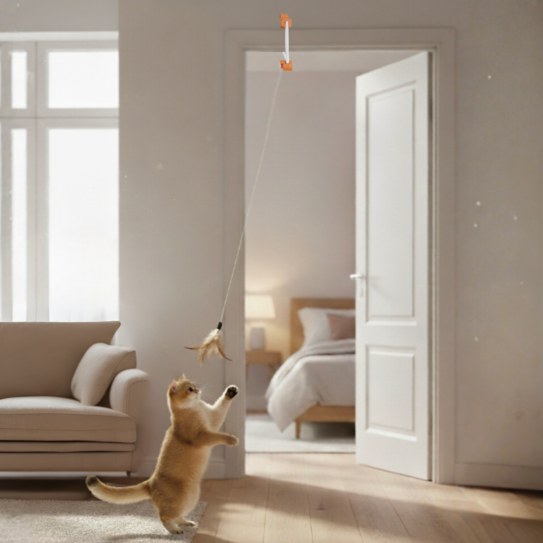 KatzenJoy | Interaktives Spielzeug